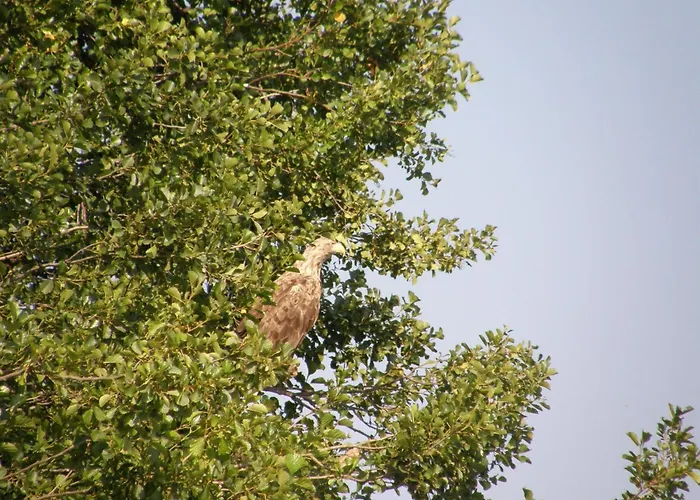 Mobile Im Mit Seezugang *