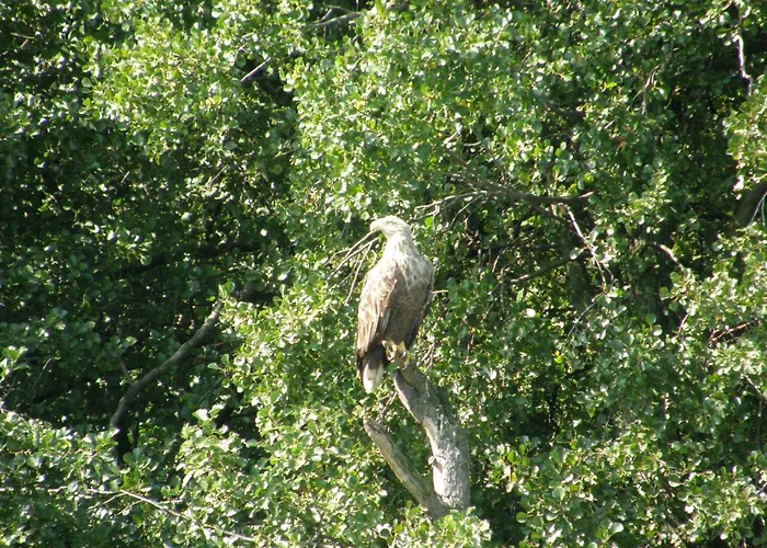 Holiday home Mobile Im Mit Seezugang *